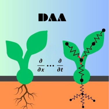 Digital Agricultural Avatar: a plant and its coupled model representation